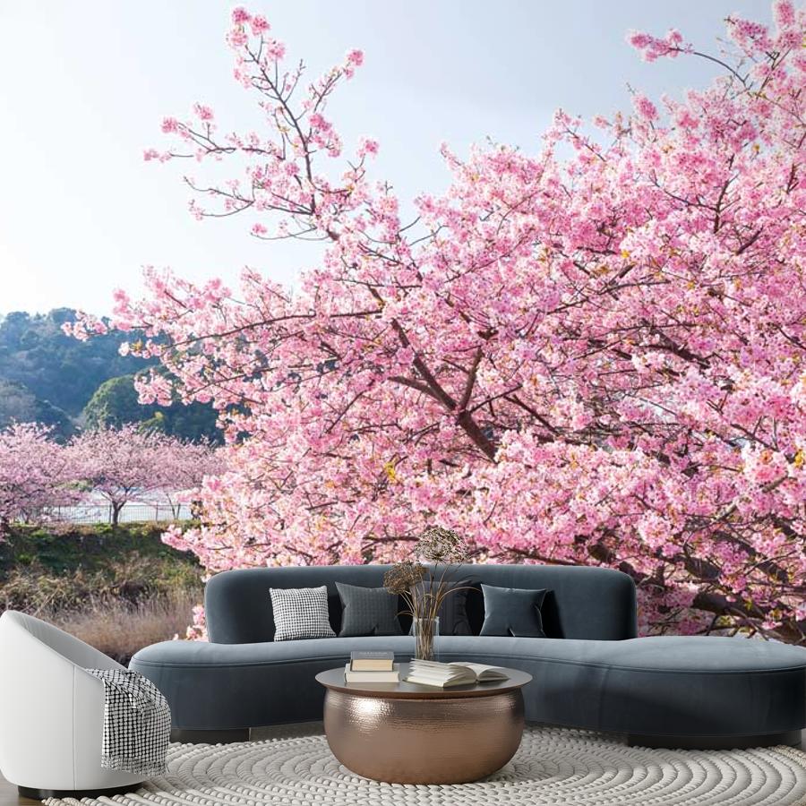 фотообои сакура на берегу реки 10-038