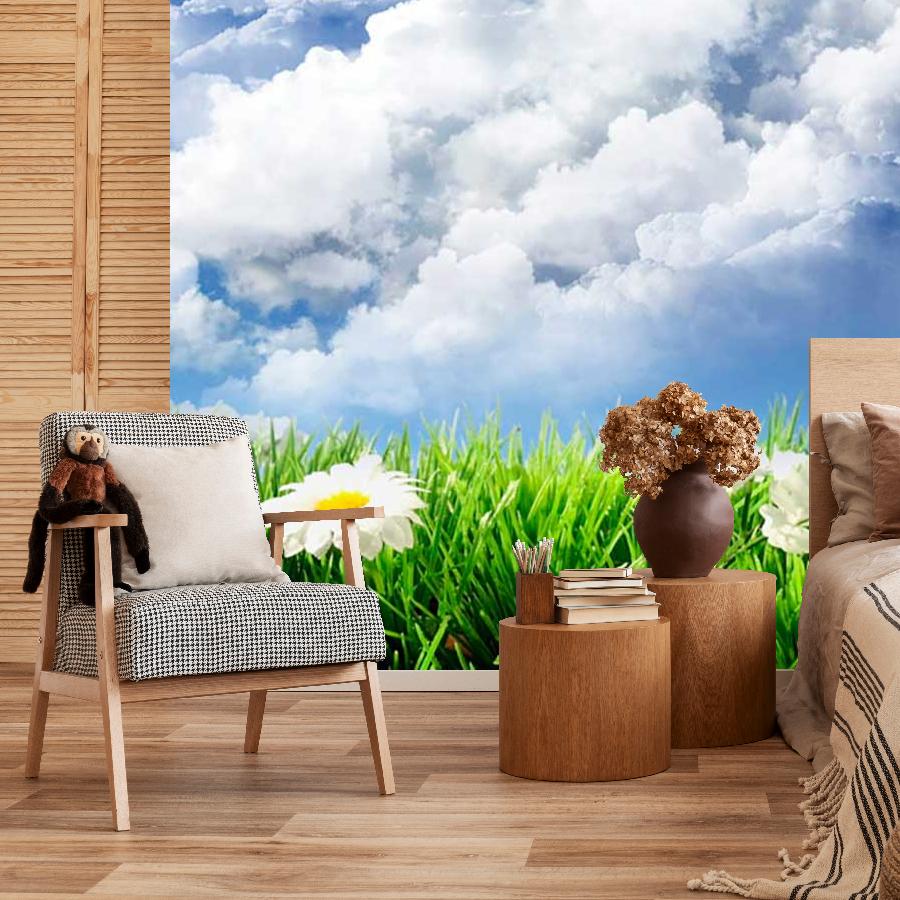 фотообои большие ромашки 3 д в поле и белые облака 9-388