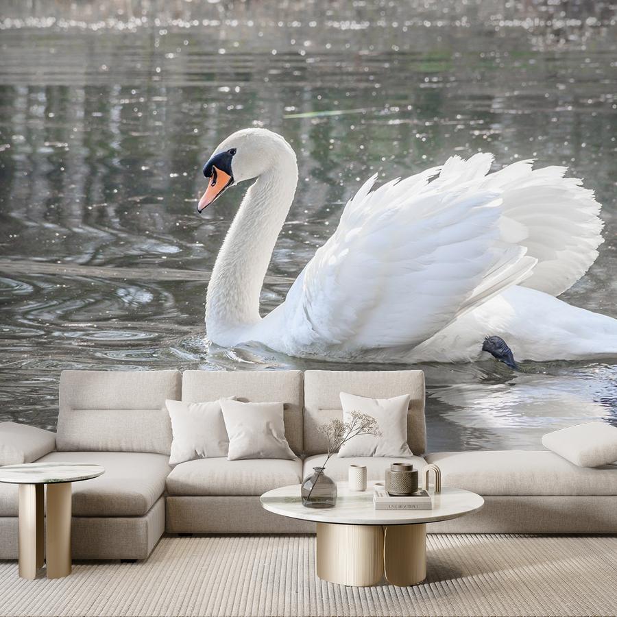 фотообои лебедь на воде 9-1733