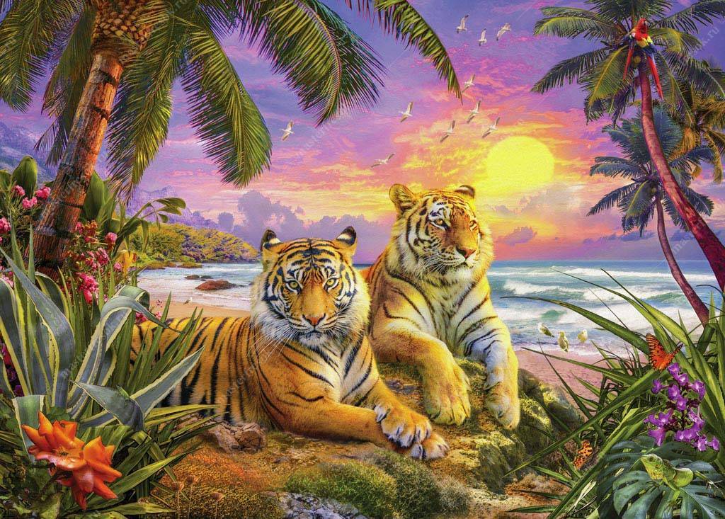 Фотообои Тигры на закате