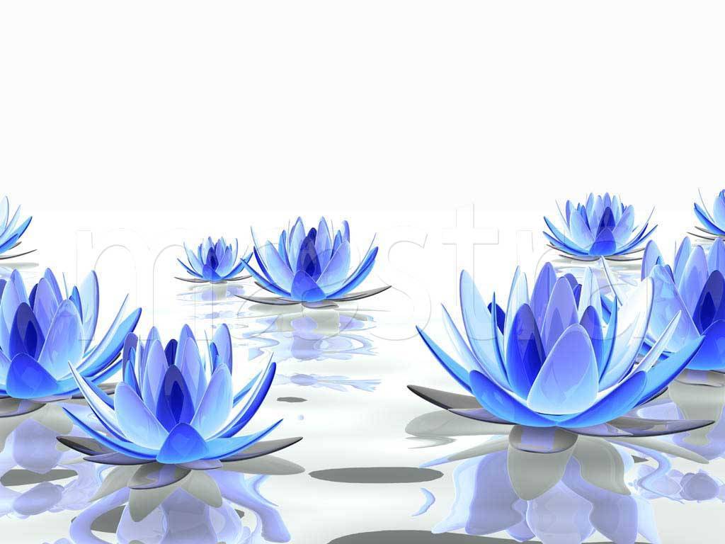 Фотообои Голубые лилии