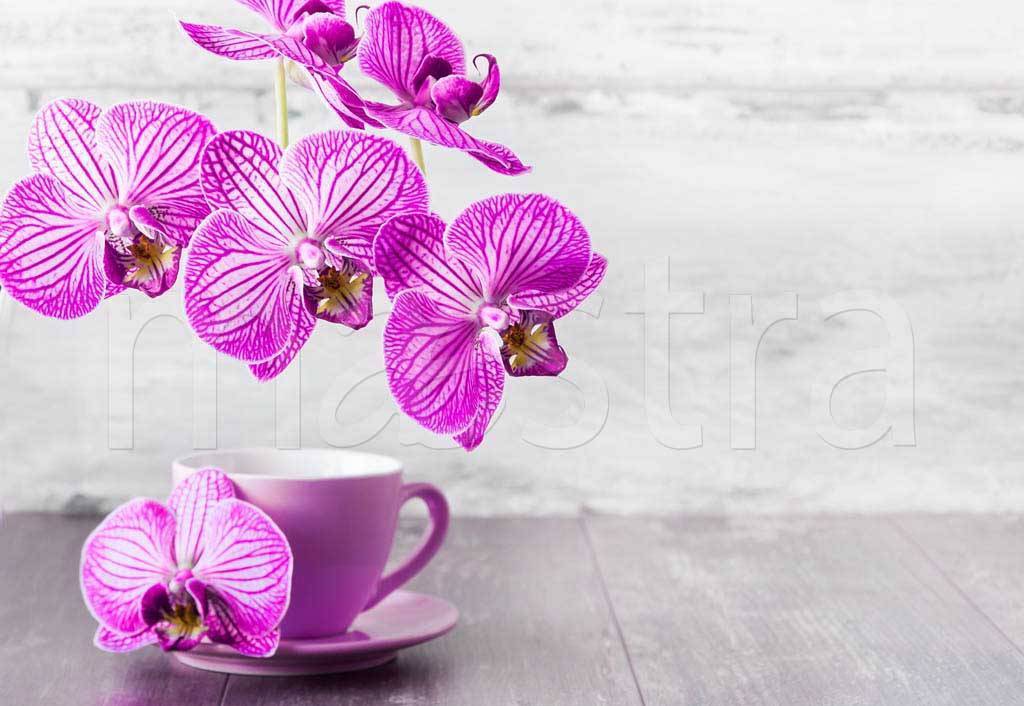 Фотообои Розовая орхидея и кружка