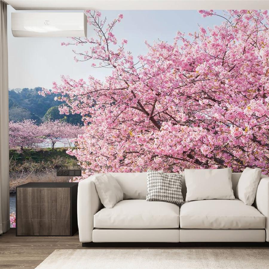 фотообои сакура на берегу реки 10-038