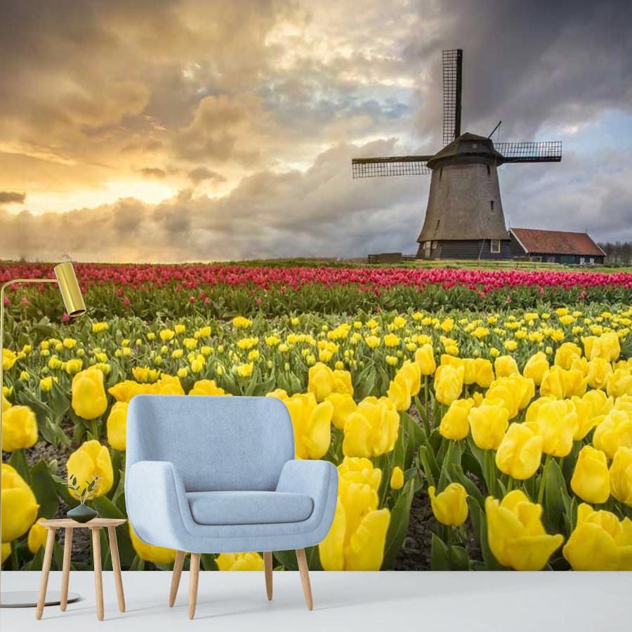 фотообои закат на тюльпановом поле 10-138 фотообои закат на тюльпановом поле 10-138