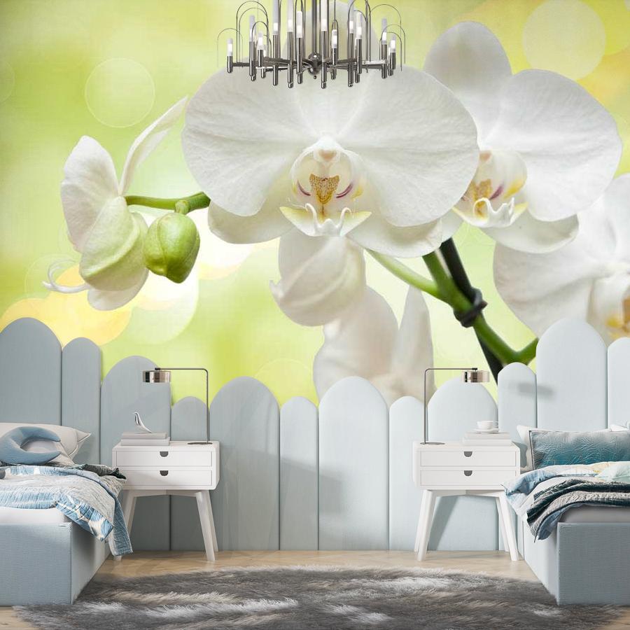 фотообои белая орхидея на зеленом фоне 10-184