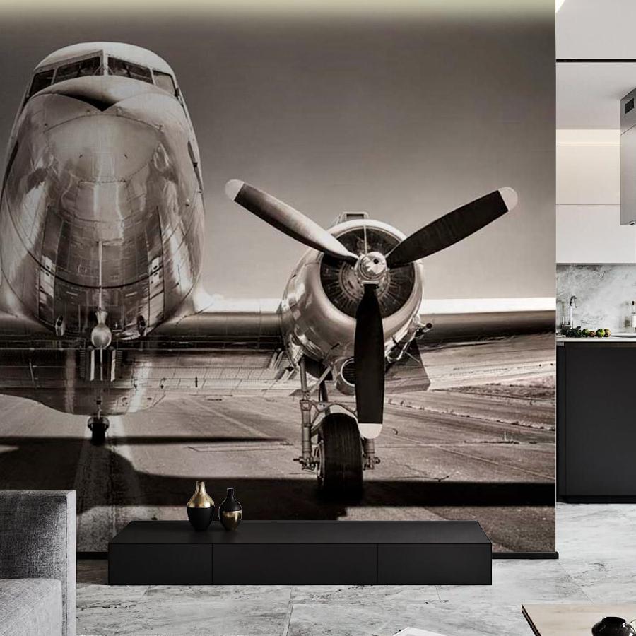 фотообои самолет 9-210