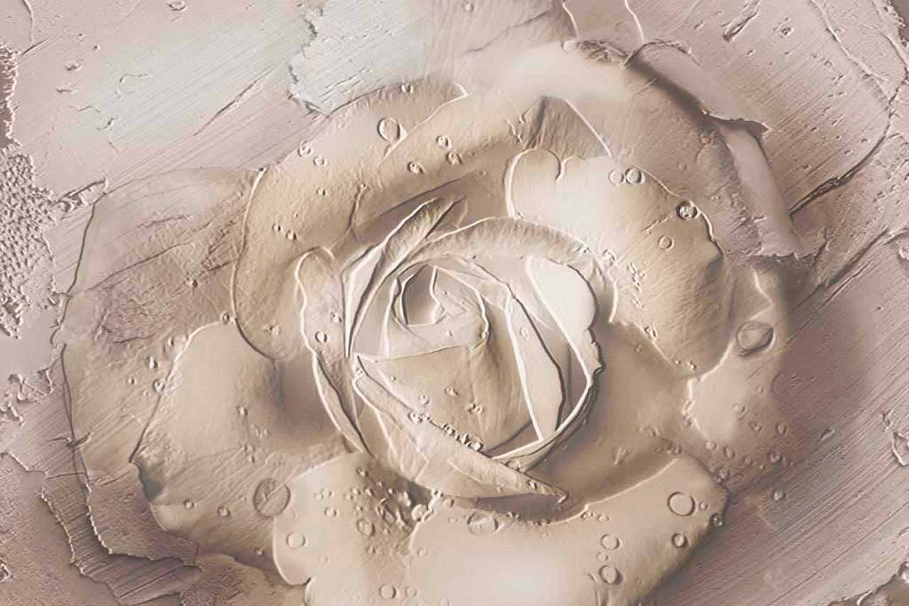 Фотообои Объемная роза с каплями росы