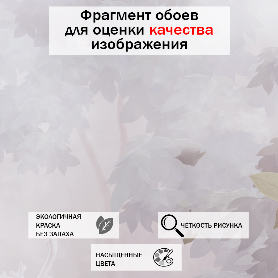 фотообои лес туманным утром 13-473