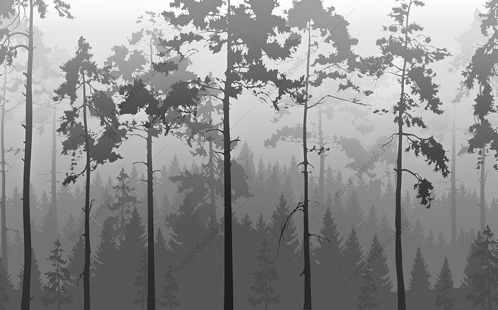 Фотообои Серый туманный лес
