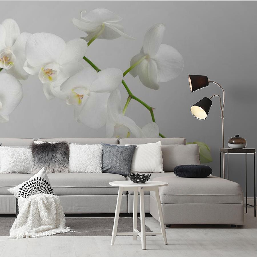 фотообои белая орхидея пышная 10-159