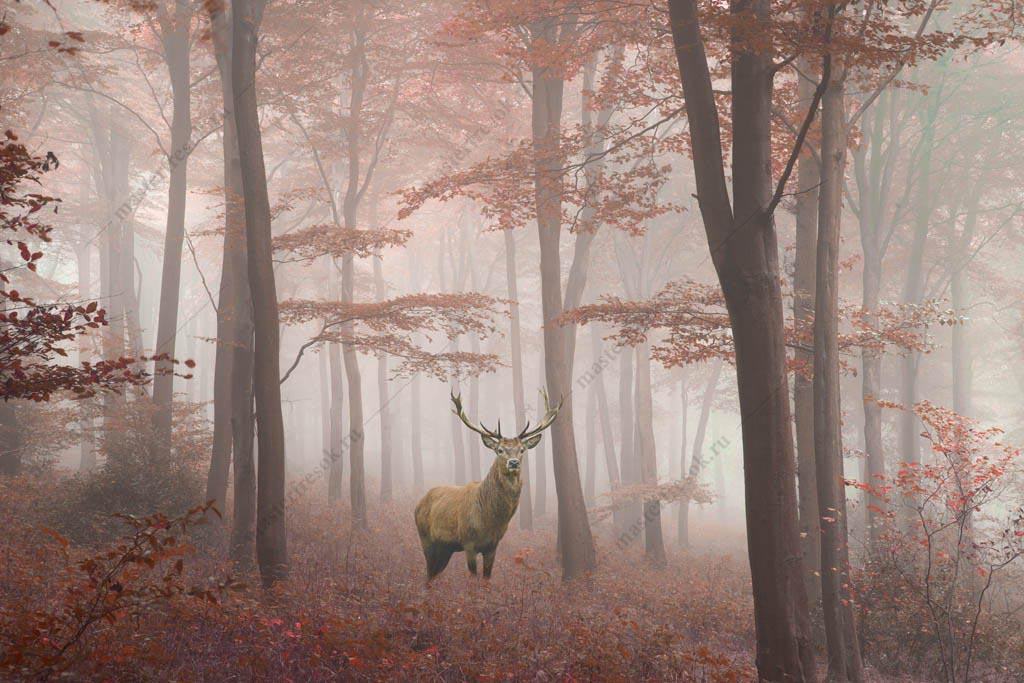 Фотообои Осенний лес с оленем