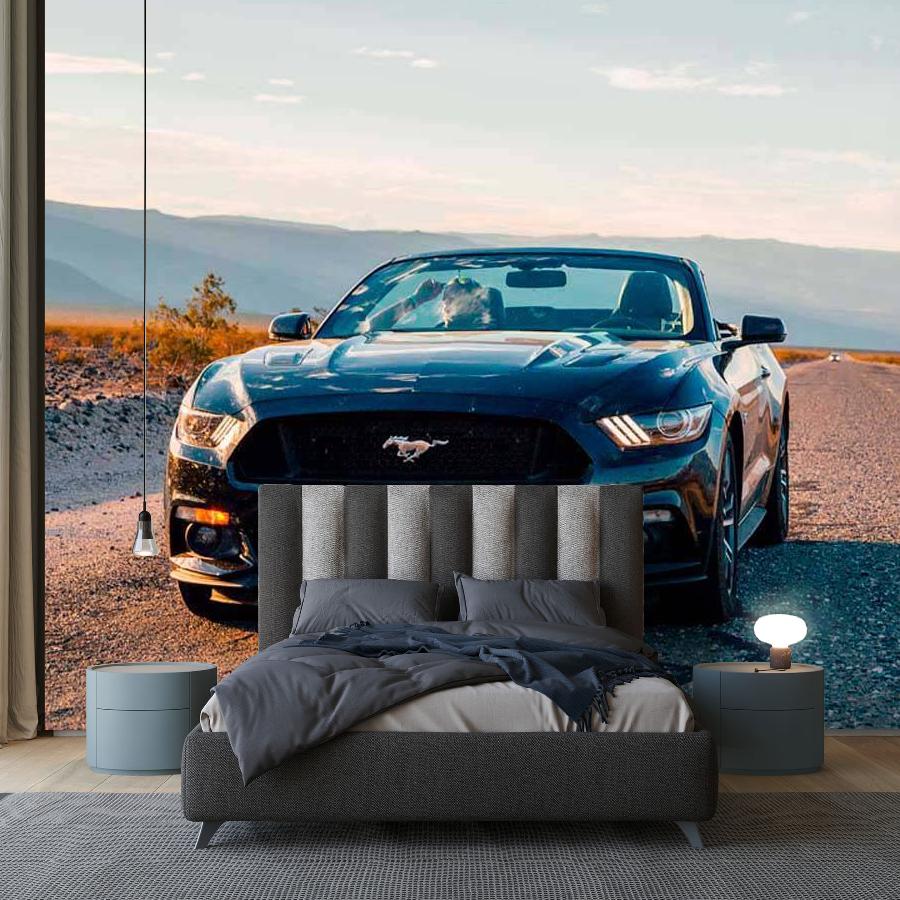 фотообои машина на обочине 12-591