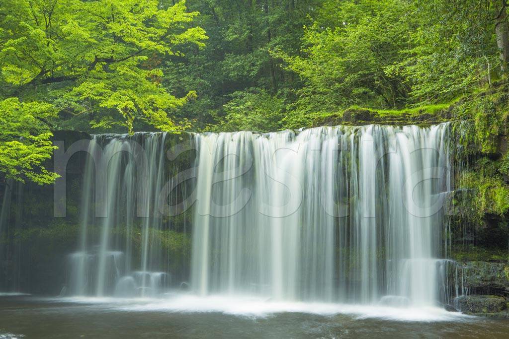 Фотообои Водопад с зеленью