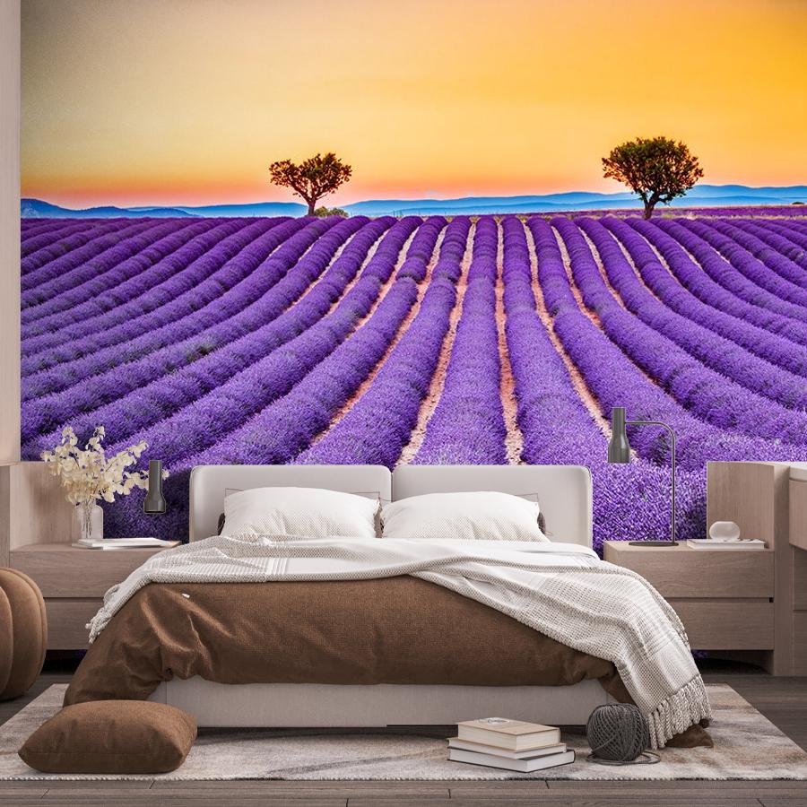 фотообои закат в лавандовых полях 9-1734