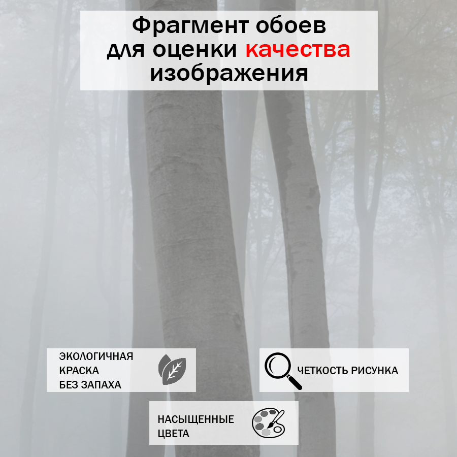 Фотообои фотообои зеленый лес в тумане 13-355