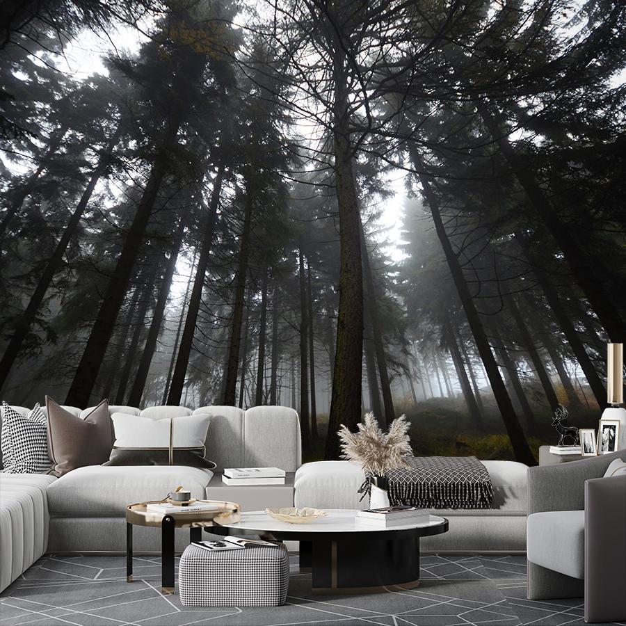 фотообои лес темный 9-1967