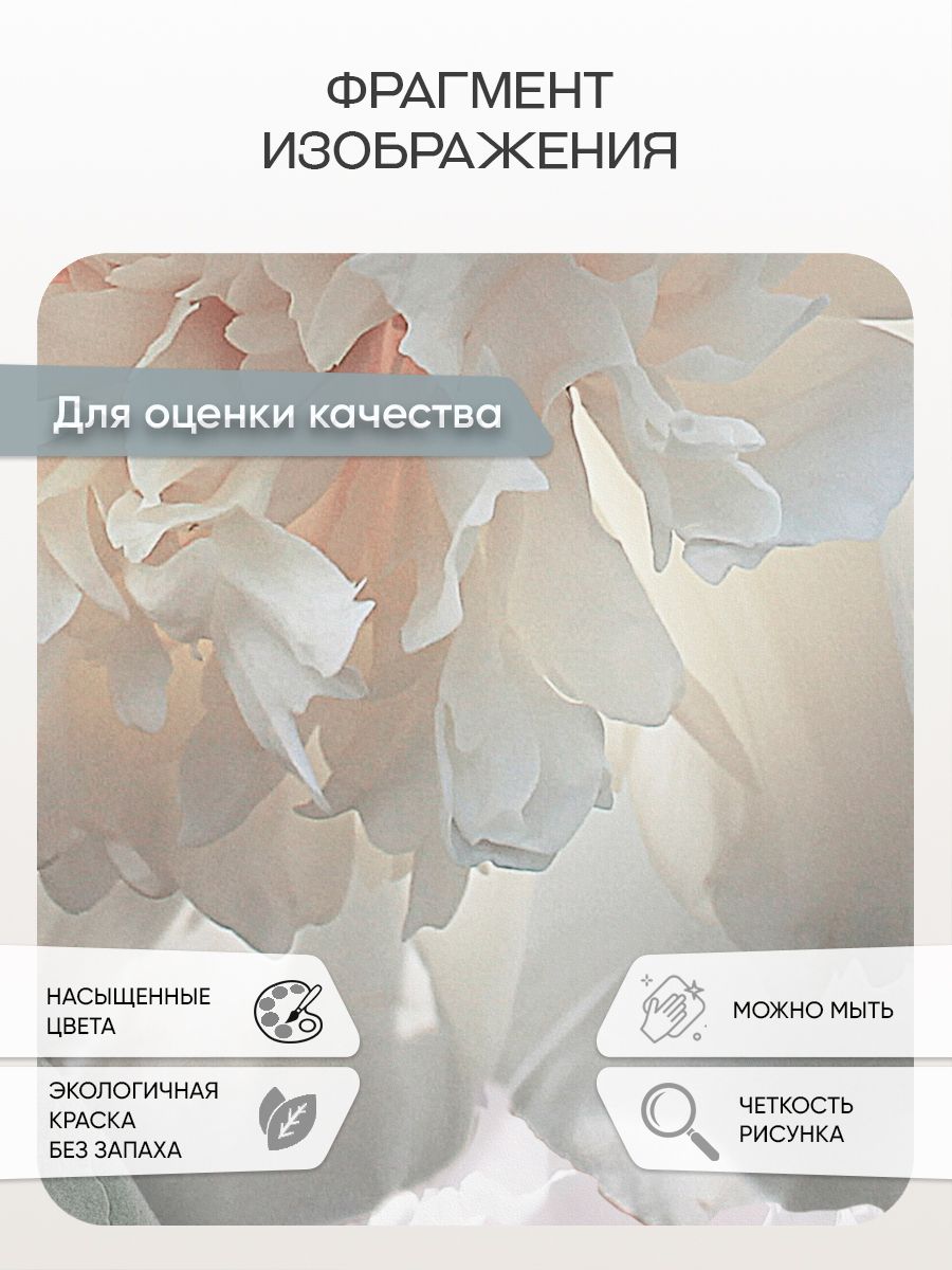 Фотообои «Пионы светлый фон» 7-984 — крупный план