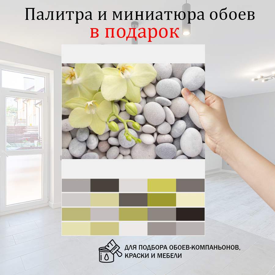 фотообои светлая орхидея на камнях 10-203