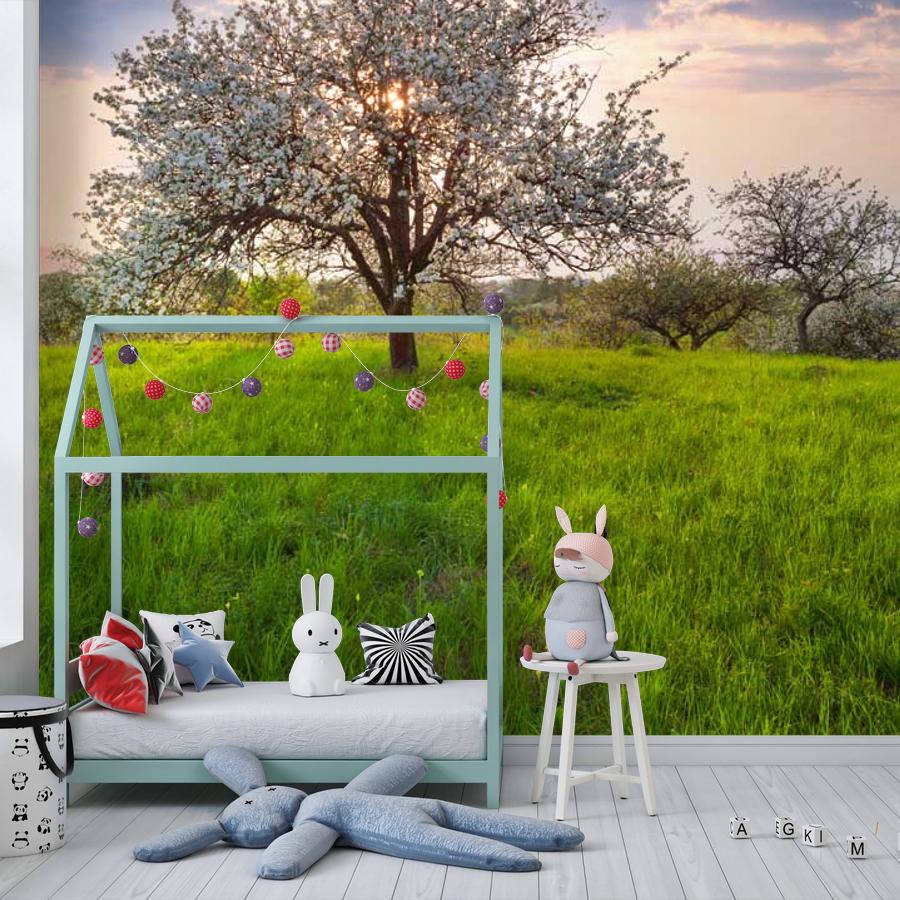 фотообои закат в яблоневом саду 10-094