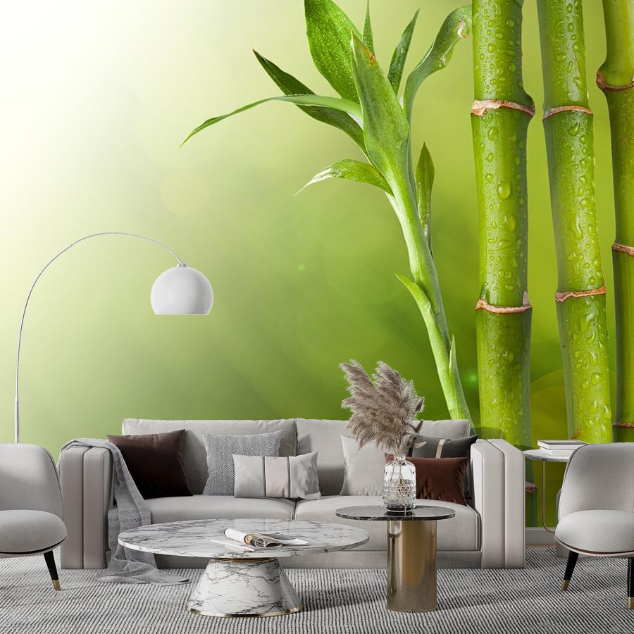 фотообои бамбук фон 9-1760