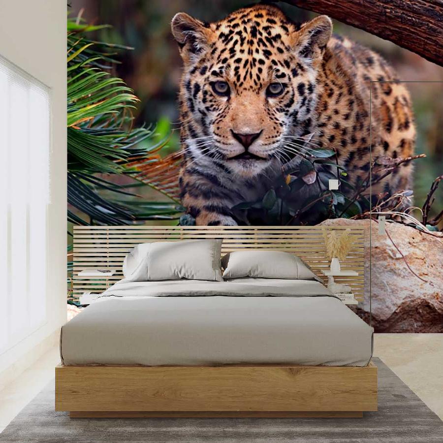 фотообои дикая кошка 9-265