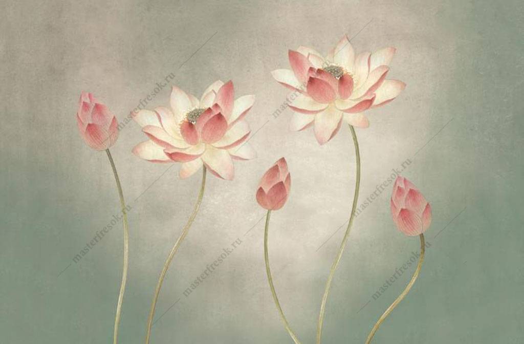 Фотообои Нежные цветы лотоса