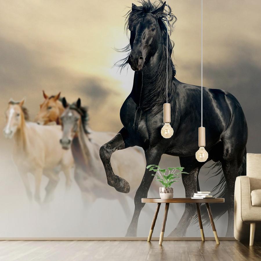 фотообои конь черный 9-1771
