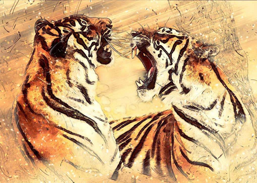 Фотообои Спор тигров
