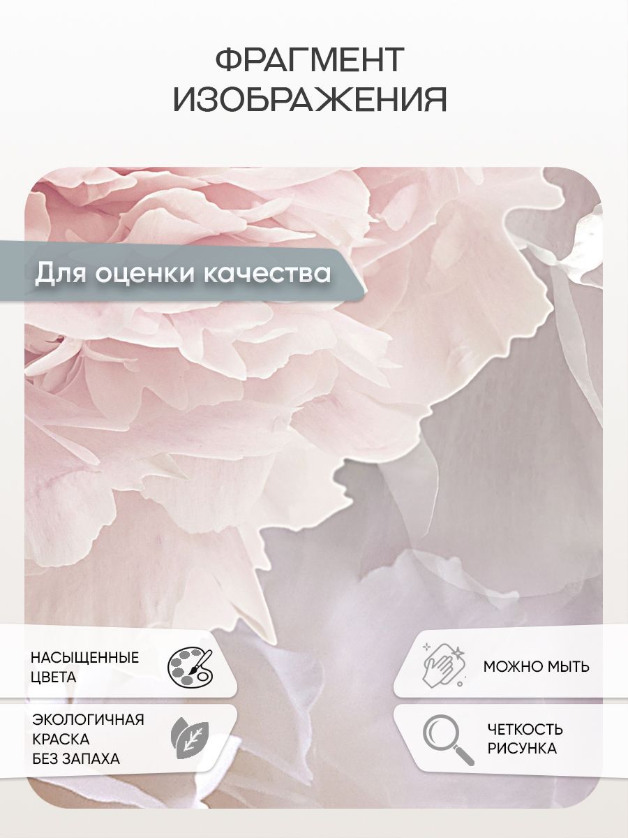 Фотообои «Нежные розы» 13-085 — крупный план