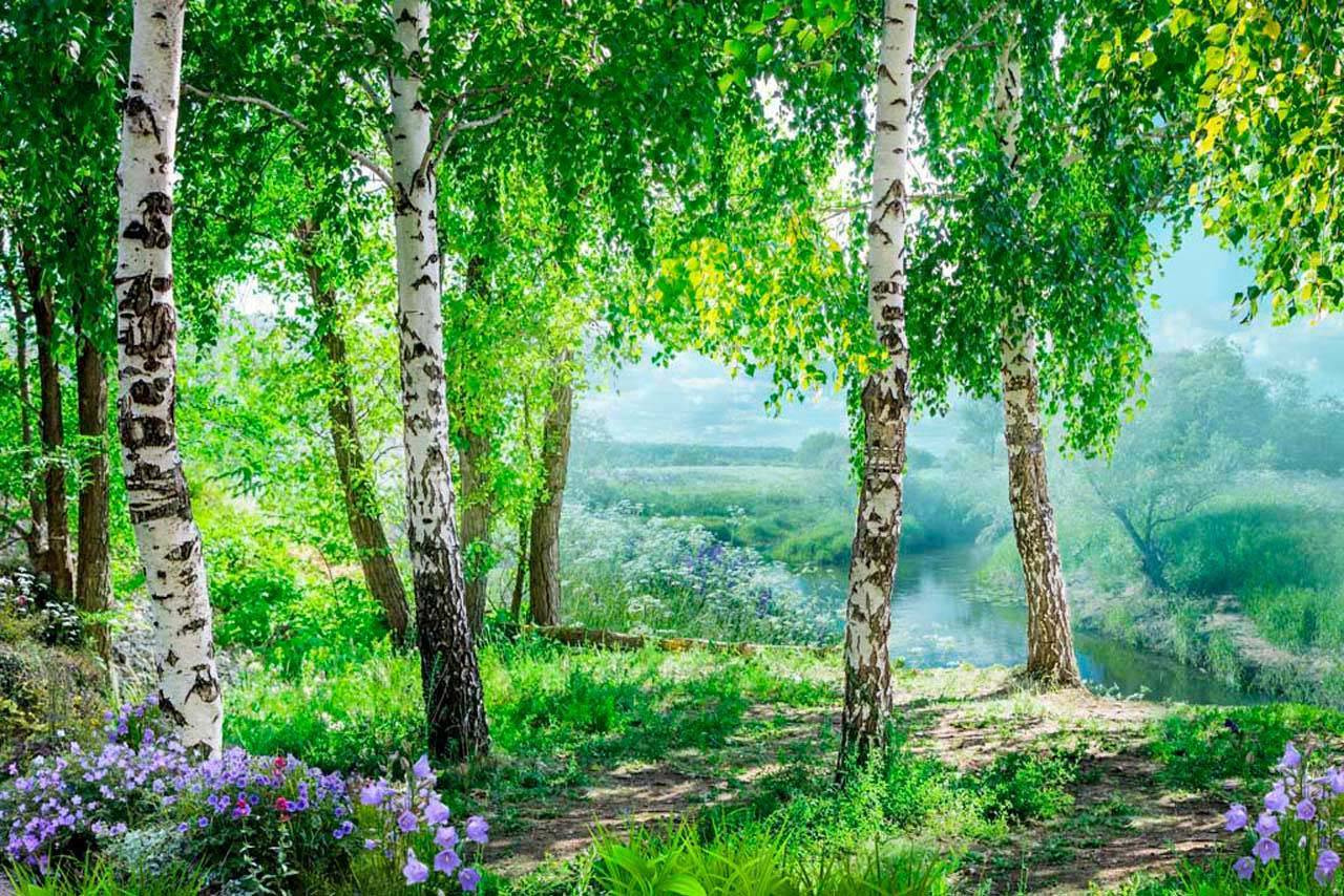 Фотообои Русский лес на берегу озера