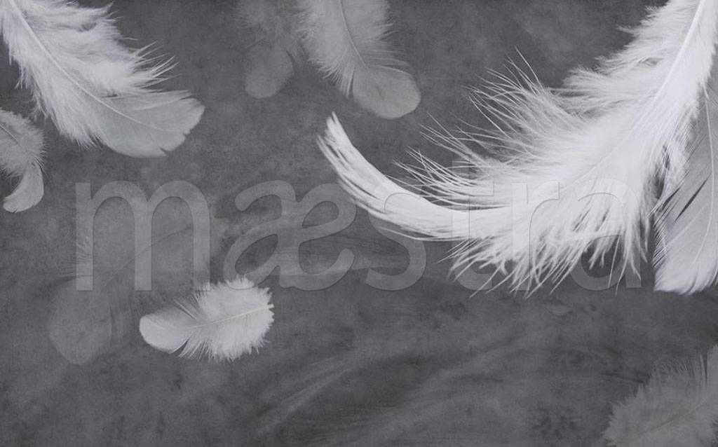 Фотообои Белые перья на сером