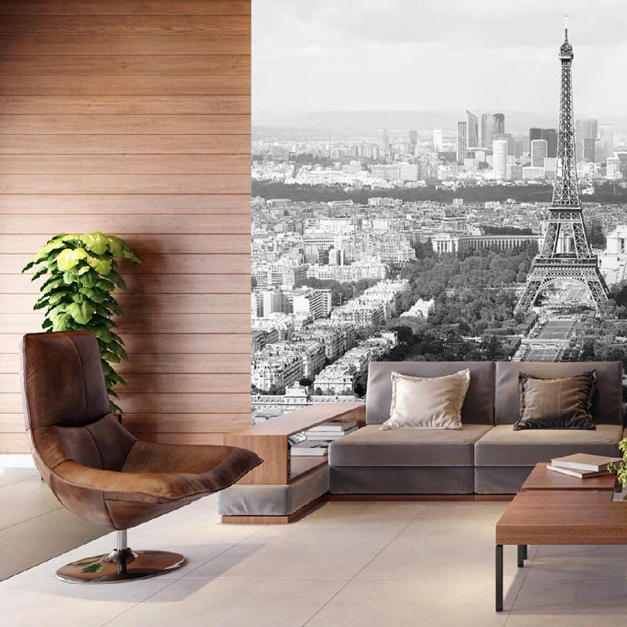 черно белый париж вид сверху 9-795