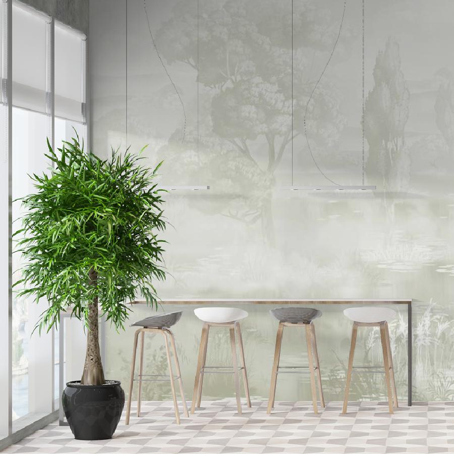 фотообои деревья оливковые 13-1076