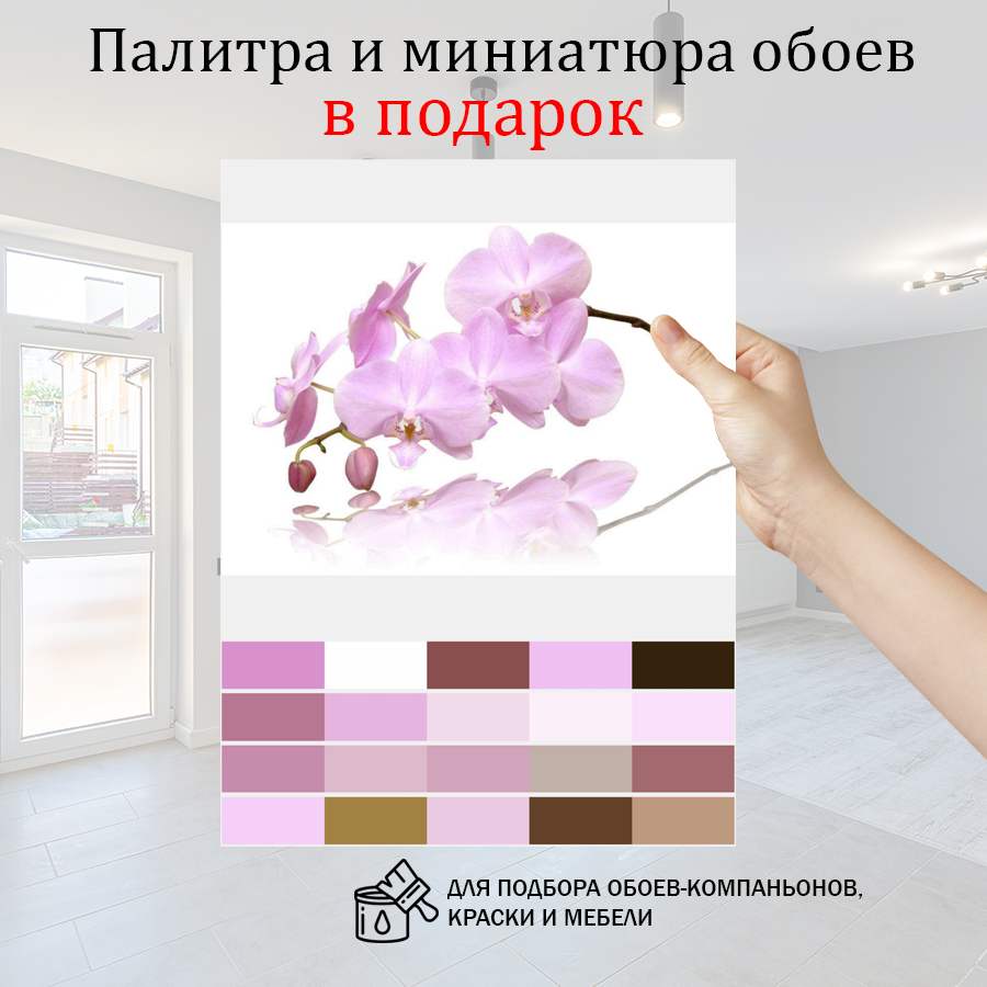 фотообои ветка орхидеи на светлом фоне 10-150