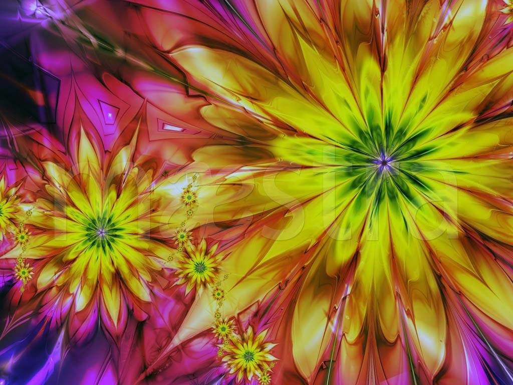 Фотообои Абстракция яркий цветок