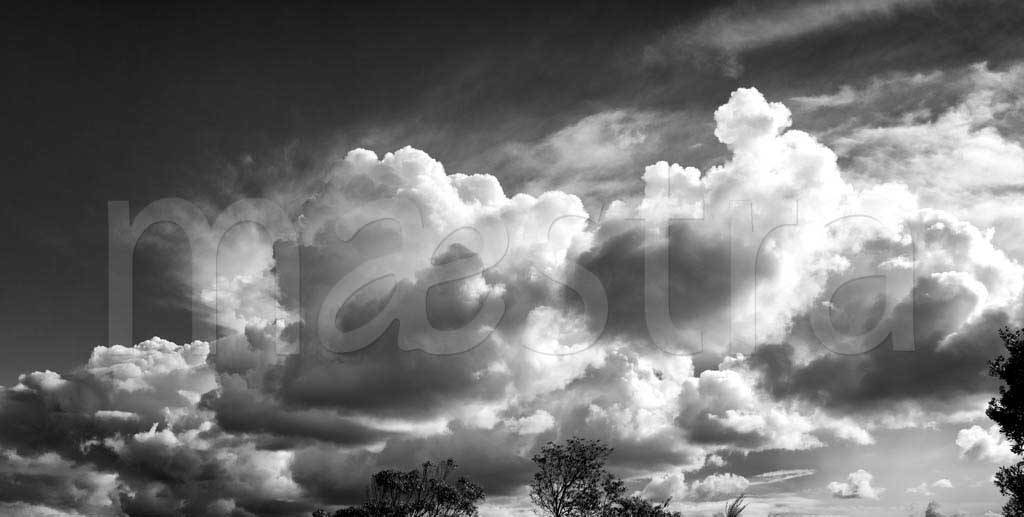 Фотообои Черно белые облака