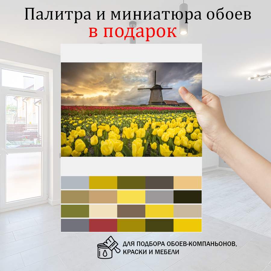 фотообои закат на тюльпановом поле 10-138 фотообои закат на тюльпановом поле 10-138
