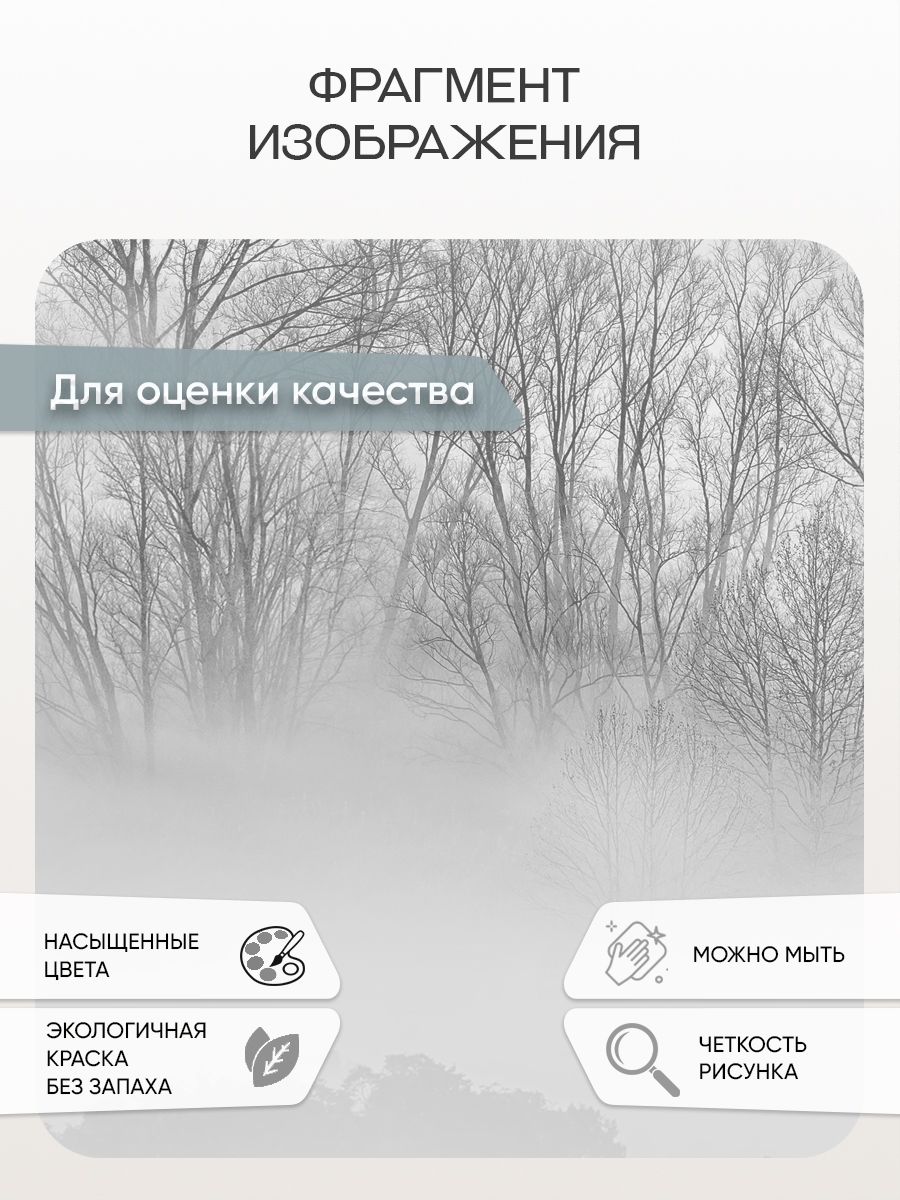 Фотообои «Туманный лес в отражении» 13-853 — крупный план