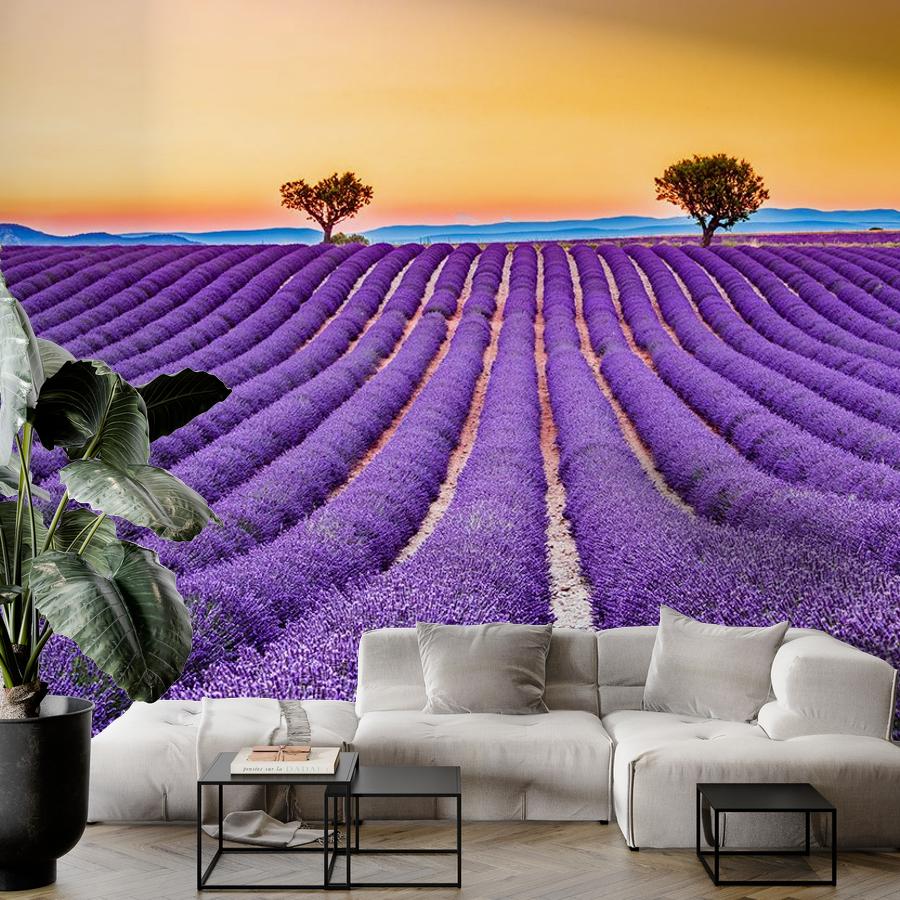 фотообои закат в лавандовых полях 9-1734