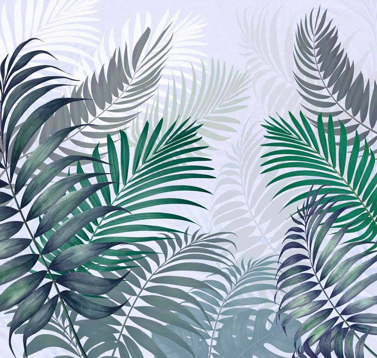 Фотообои Листья пальм