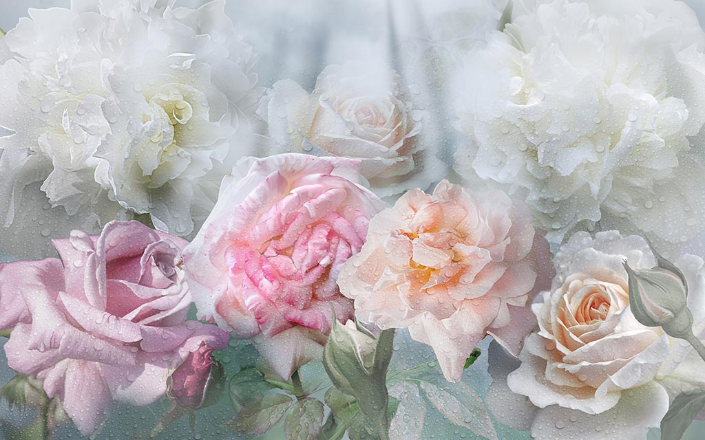 Фотообои Альберто гильен розы