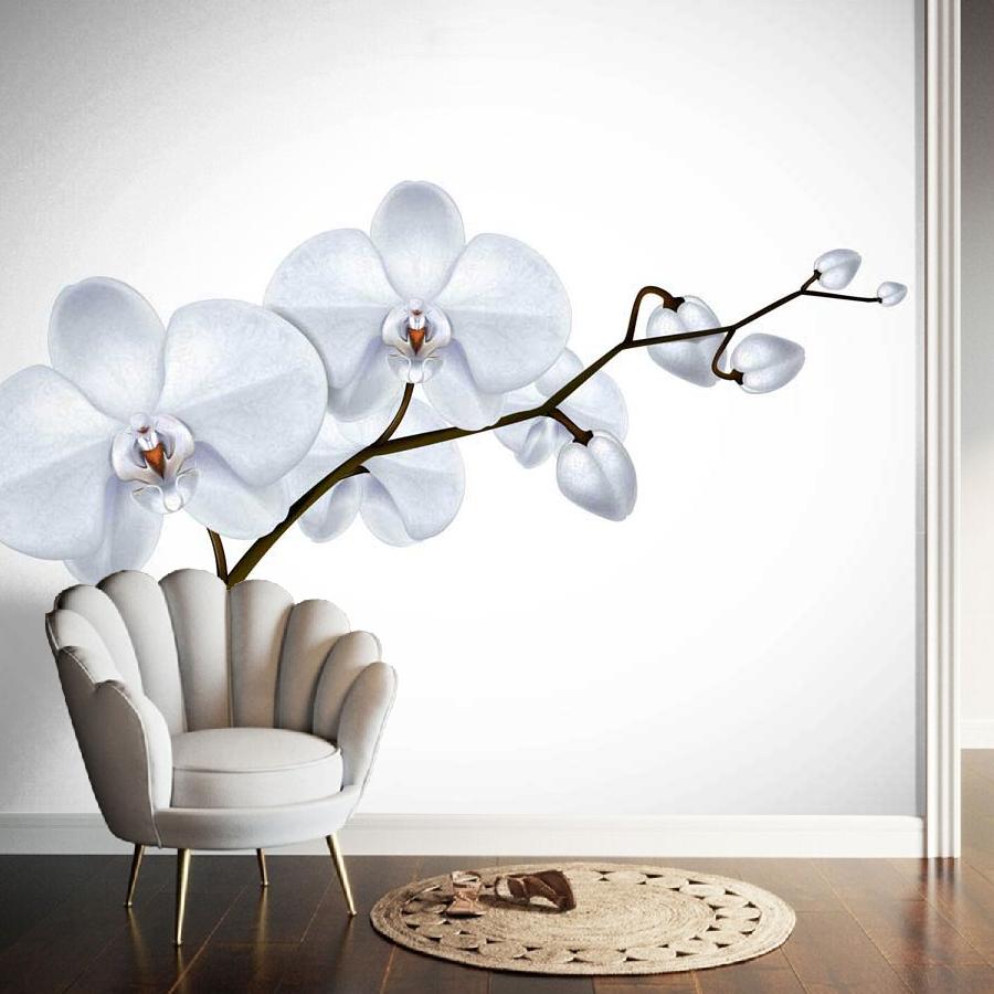 фотообои белая орхидея художественная 10-156
