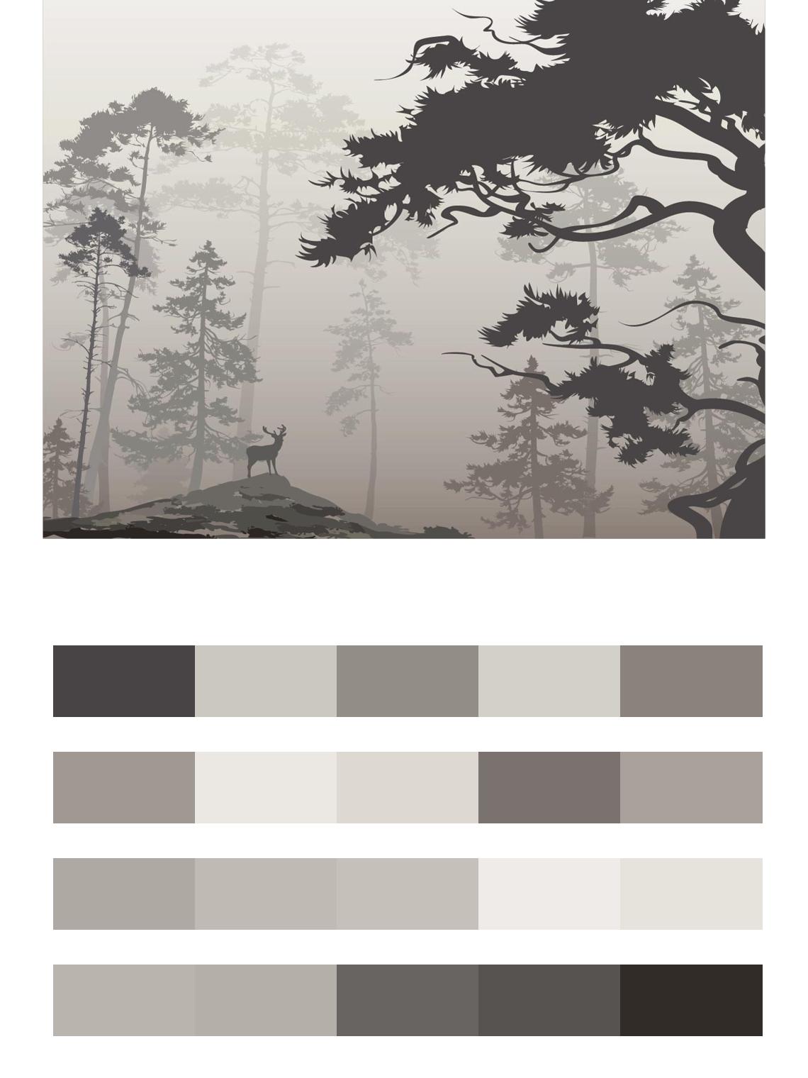Черно белый лес цвета