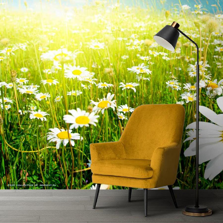 фотообои поле ромашек и лучи солнца 9-387