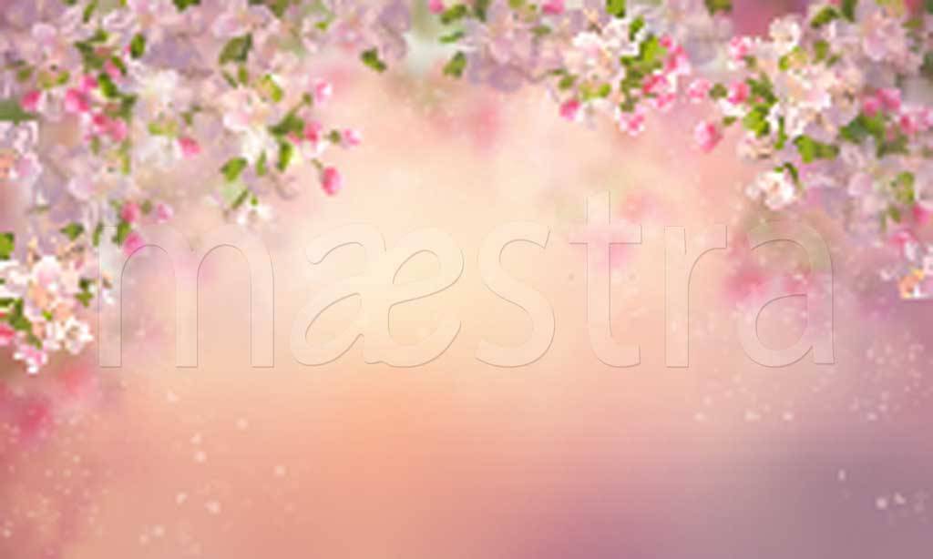 Фотообои Веточки сакуры на розовом фоне