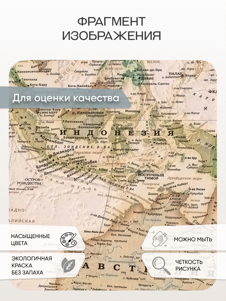 Фотообои «Карта мира» 7-900 — крупный план