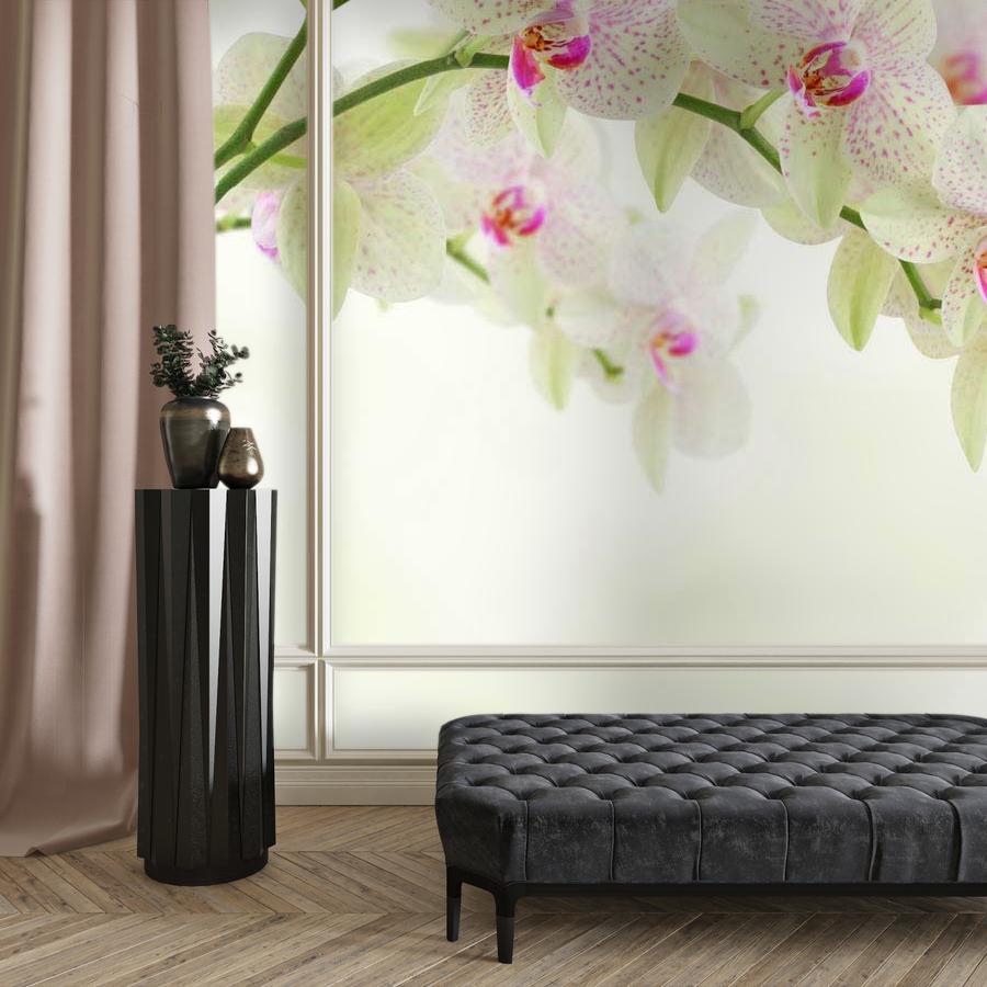 фотообои белая орхидея с розовым пигментом 10-164