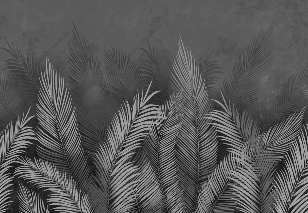 Фотообои Листья пальмы на тёмном фоне