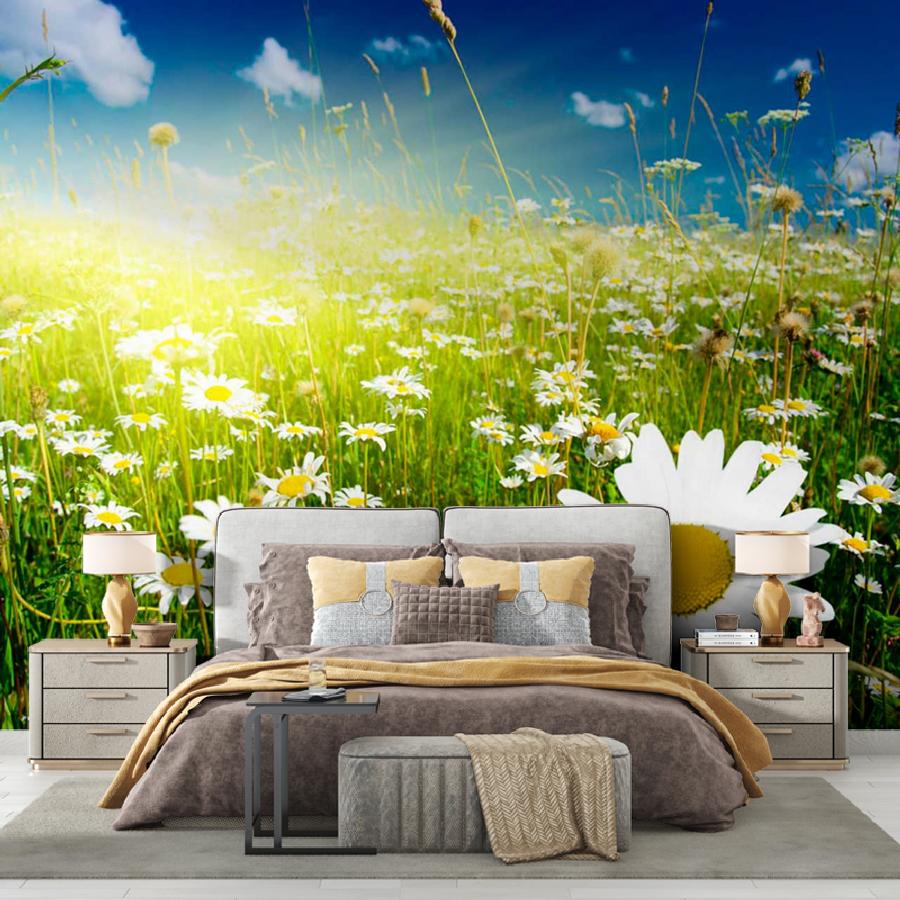 фотообои поле ромашек и лучи солнца 9-387