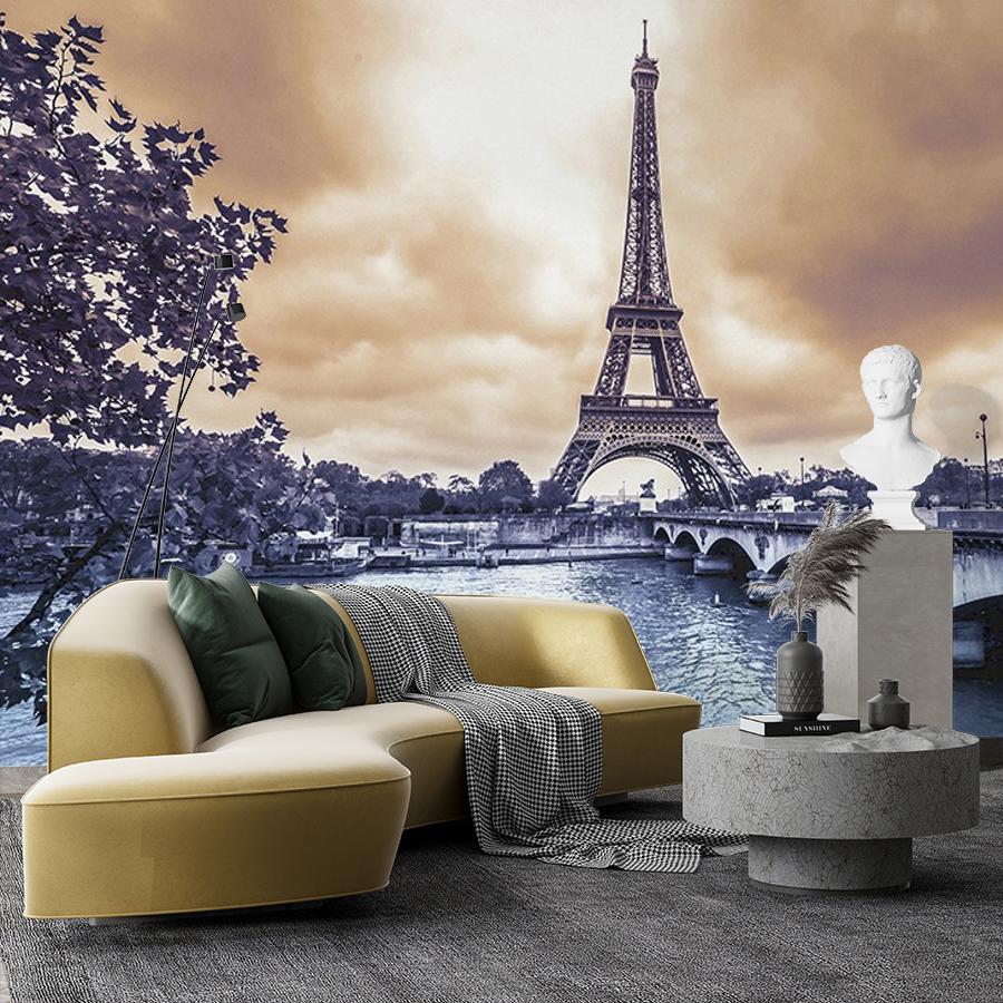 фотообои пасмурный париж 9-1741